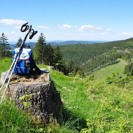 Nr 3 Oberhof *